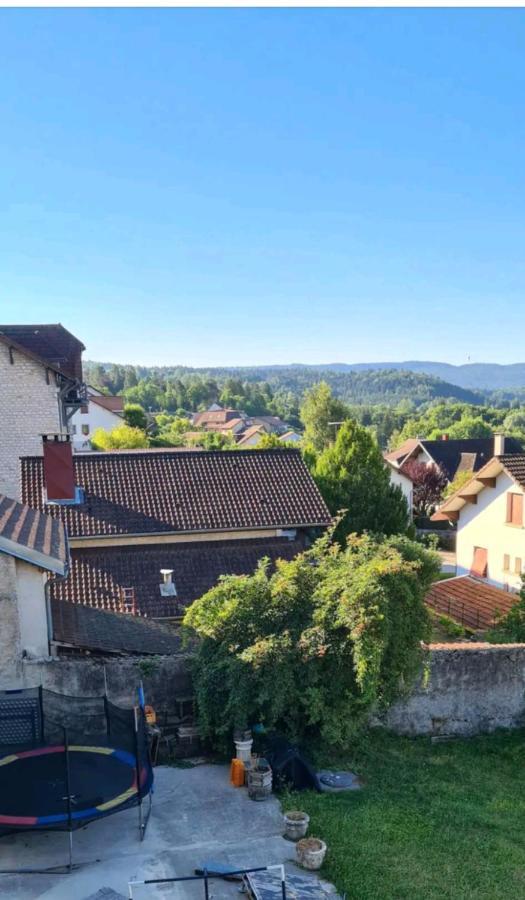 Le Nid Pres Du Lac Clairvaux-les-Lacs Zewnętrze zdjęcie